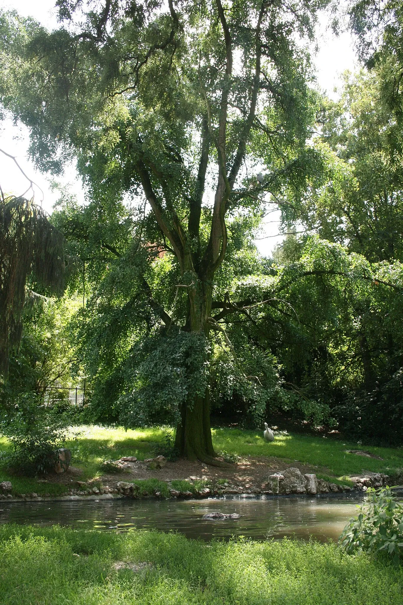 Parc Zoologique et Botanique de Mulhouse