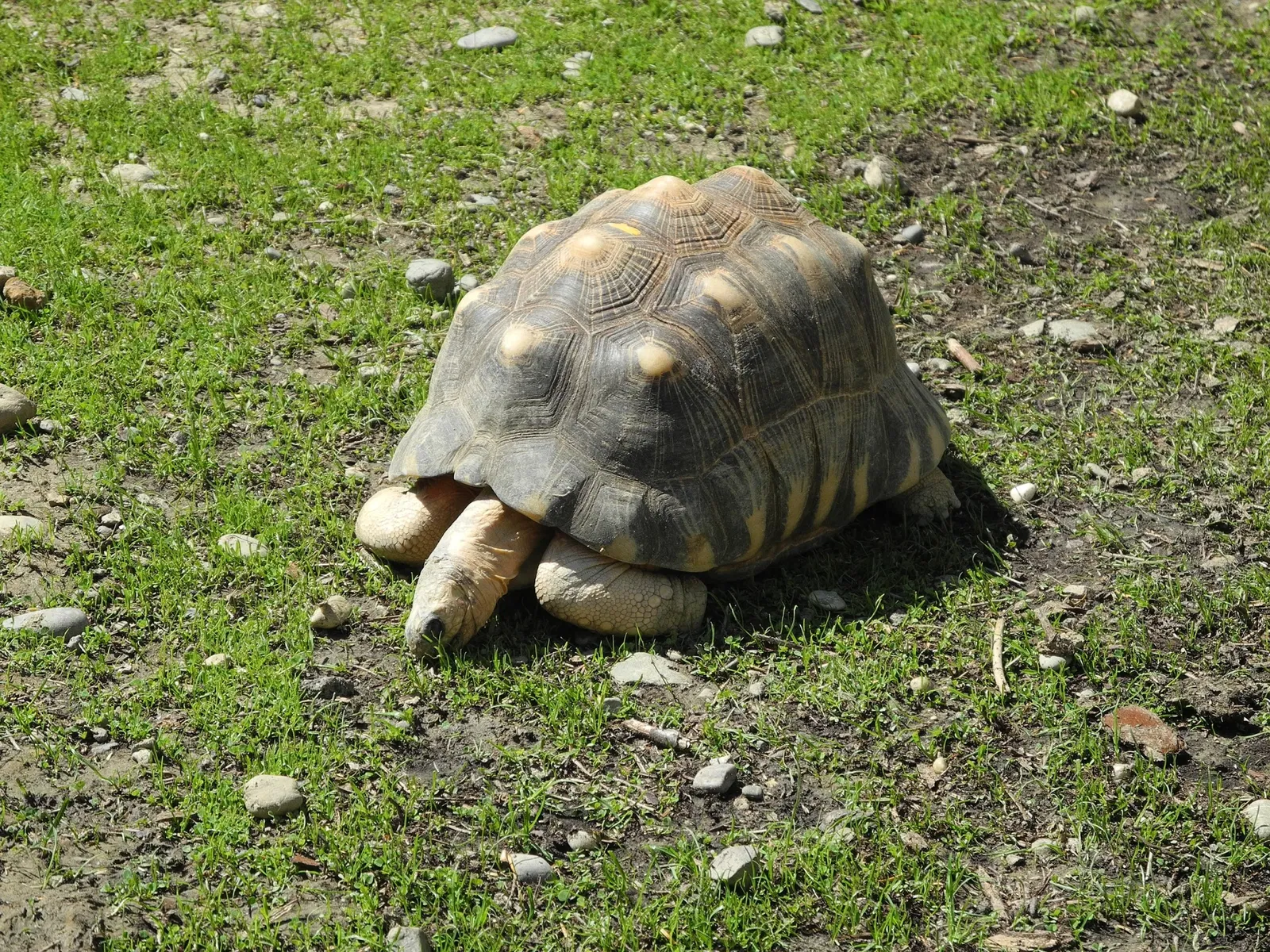 Mulhouse Zoological and Botanical Park