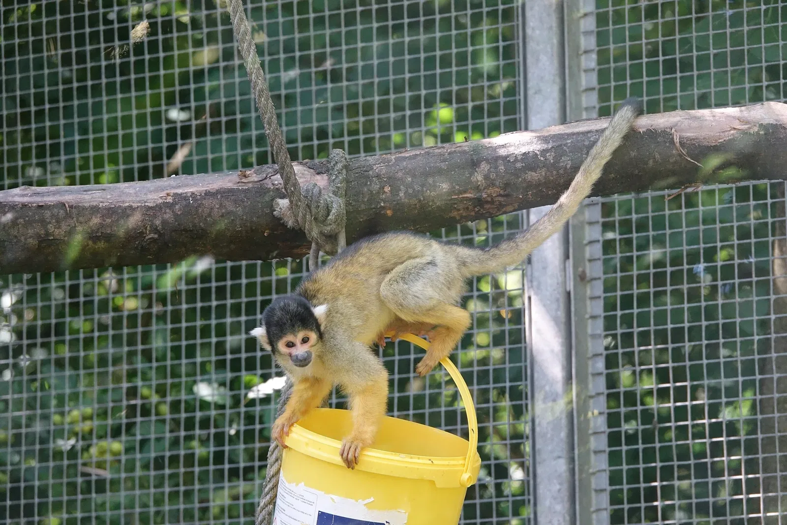 Parque zoológico y botánico de Mulhouse