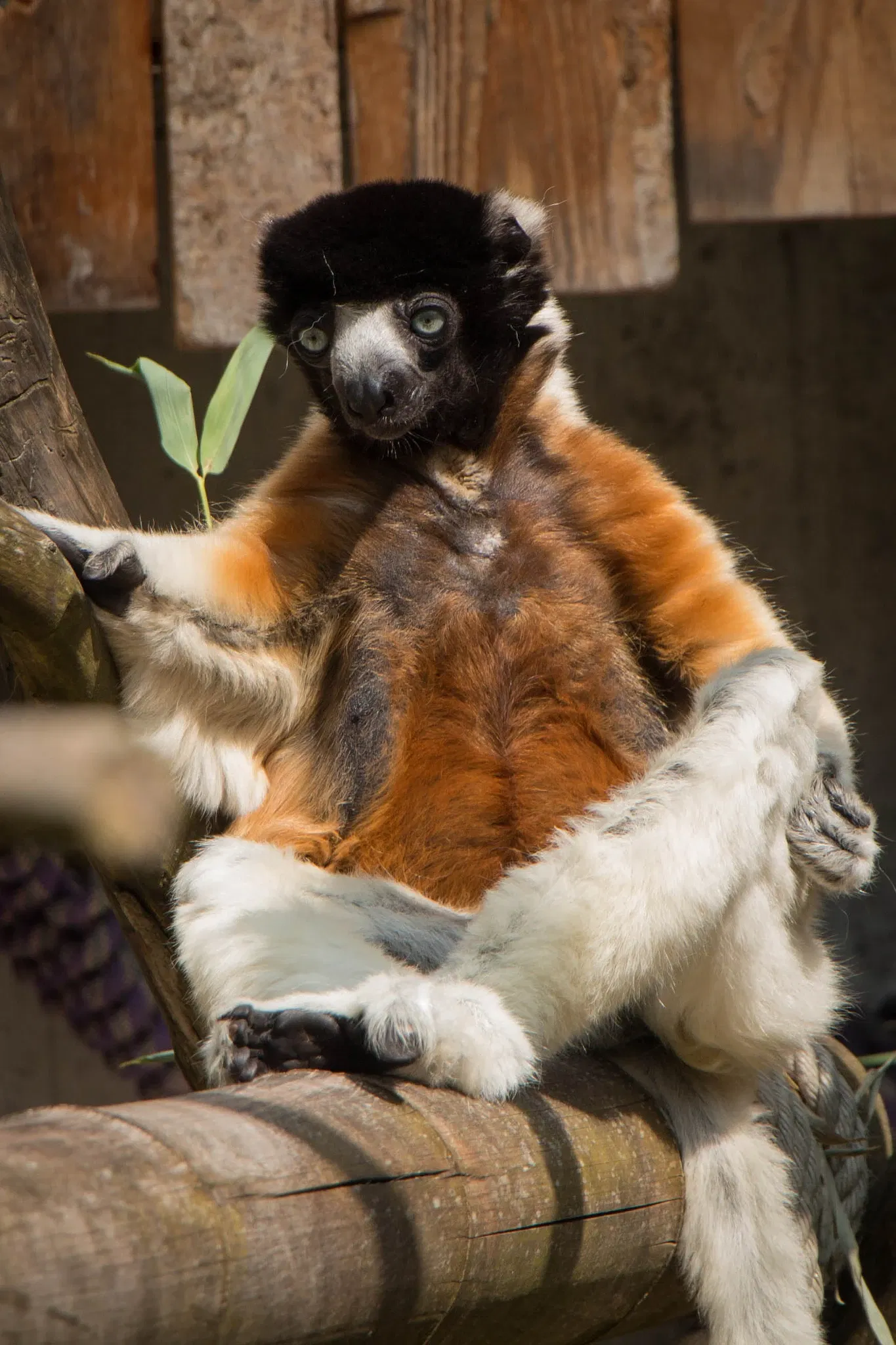 Mulhouse Zoological and Botanical Park