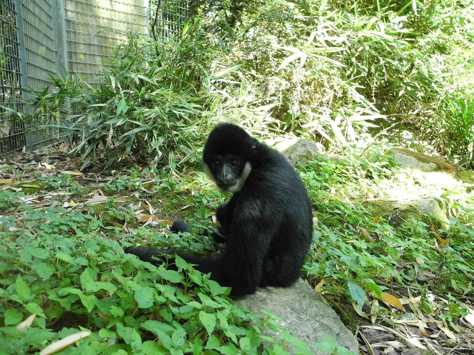 Mulhouse Zoological and Botanical Park
