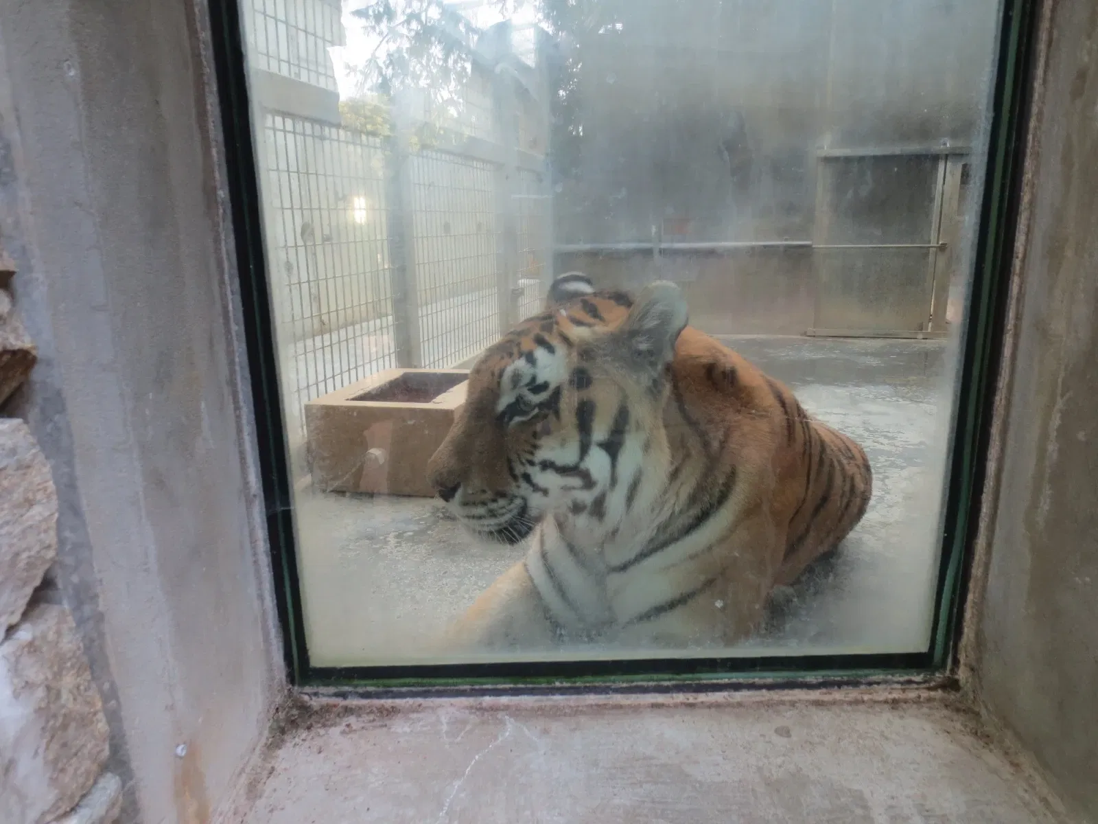 Parque zoológico y botánico de Mulhouse