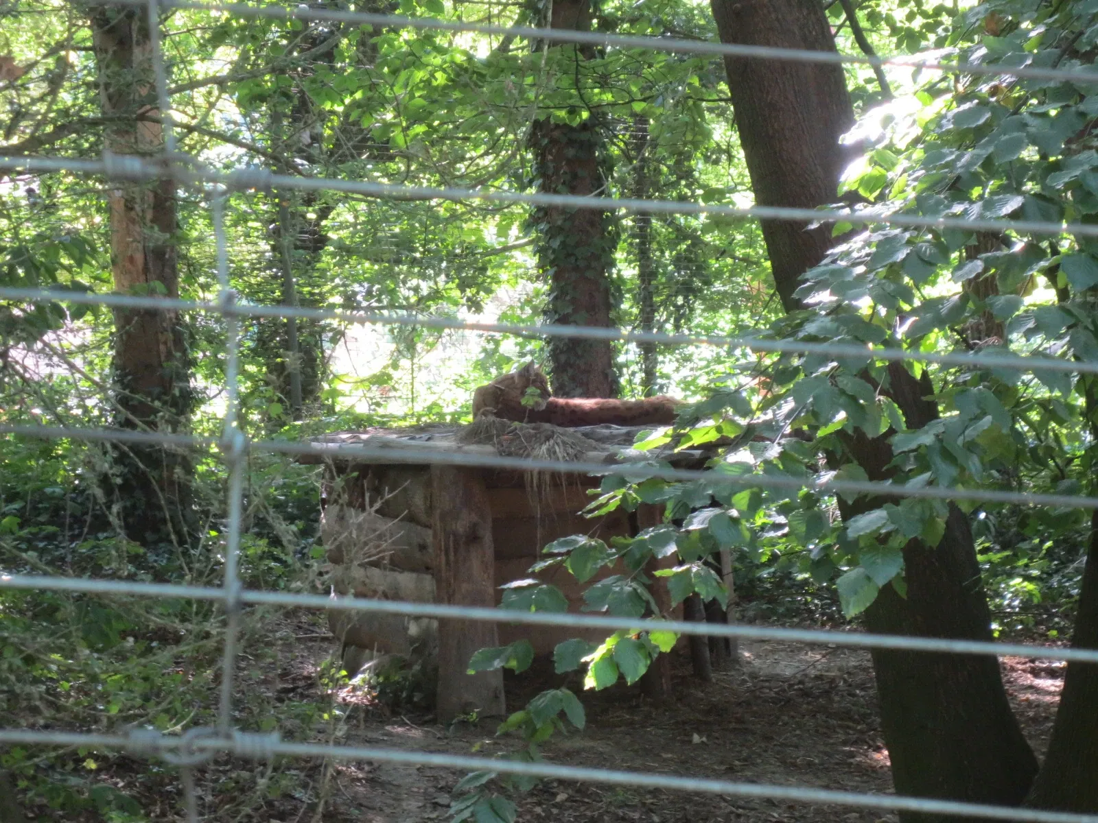 Parque zoológico y botánico de Mulhouse