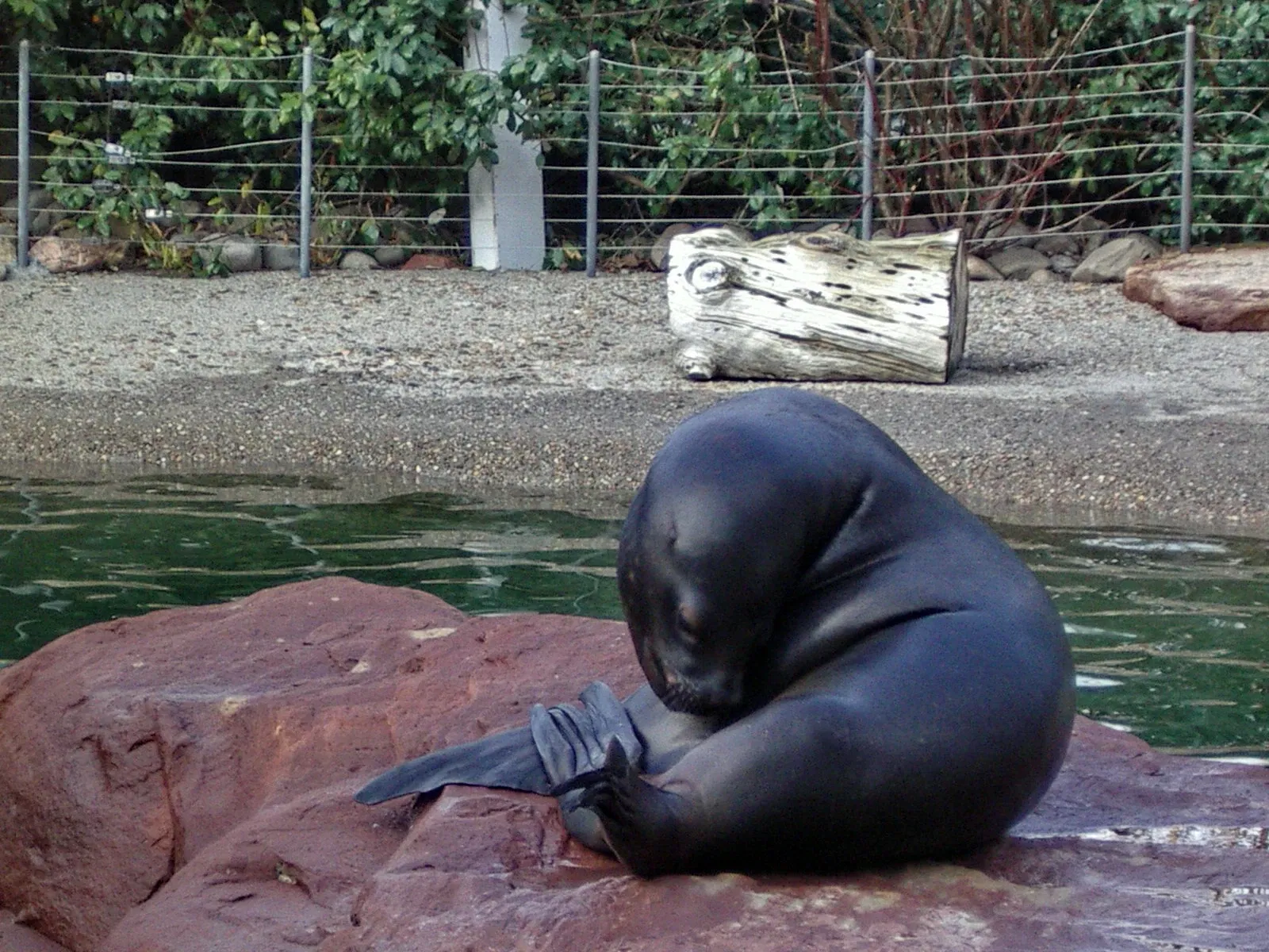 Mulhouse Zoological and Botanical Park