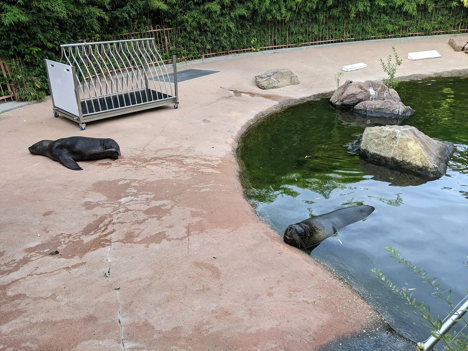 Parc Zoologique et Botanique de Mulhouse