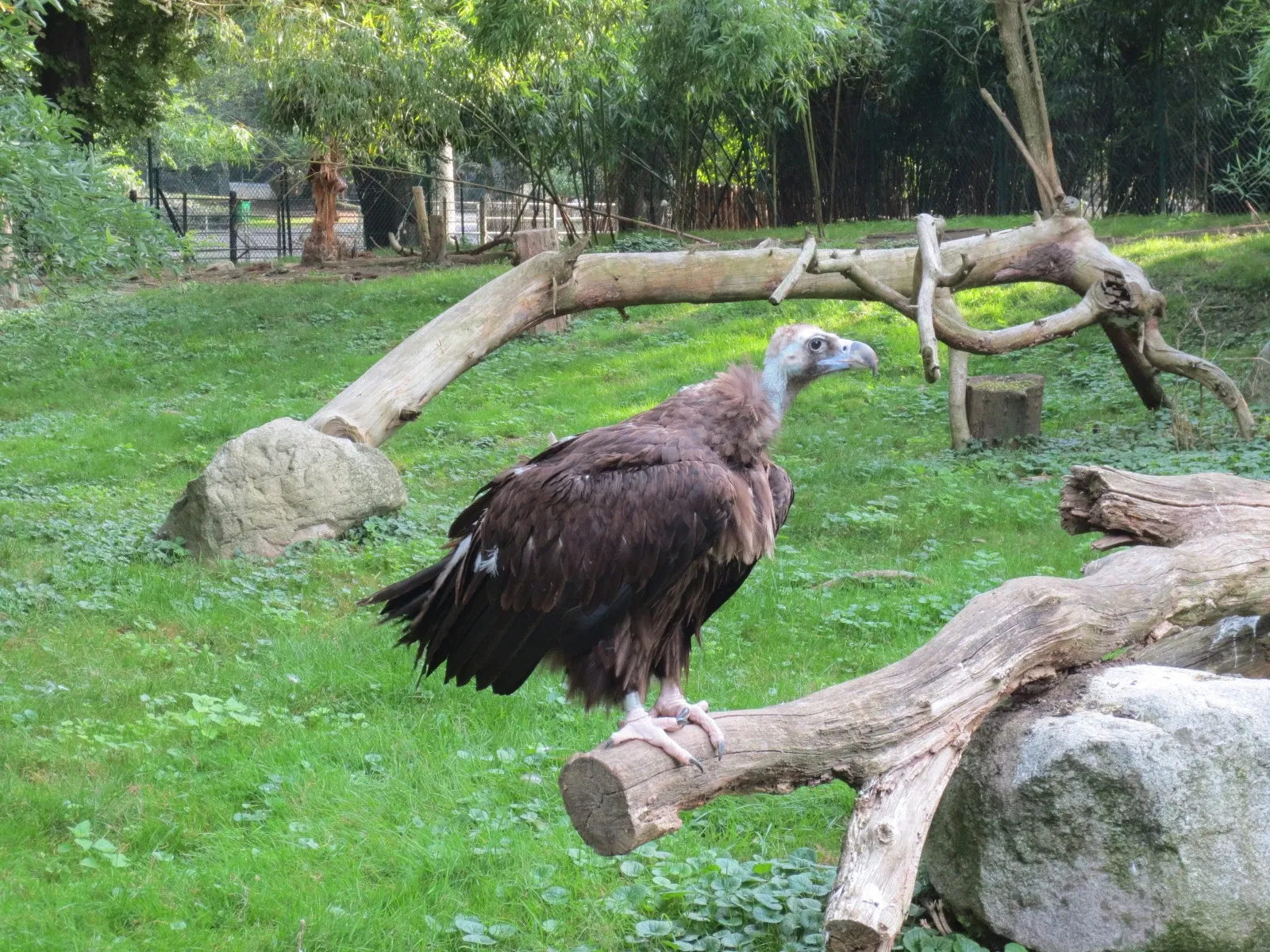 Zoo Mülhausen