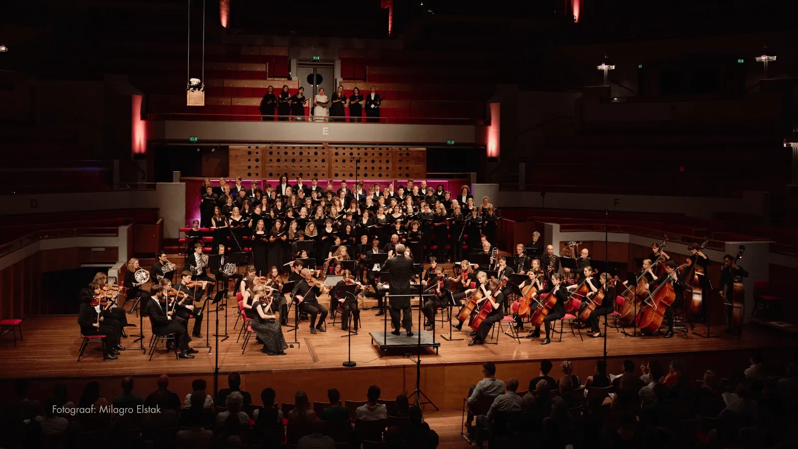 September concerts at Castle De Haar