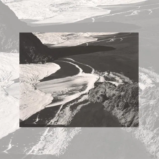 Edward Weston: Die Materie der Formen