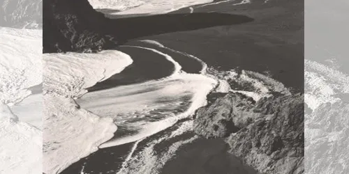 Edward Weston : La question des formes