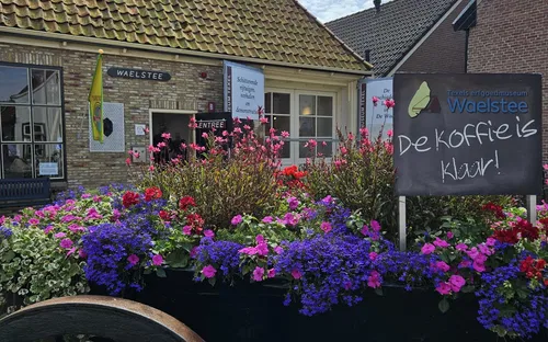 Texels Erfgoed Museum Waelstee