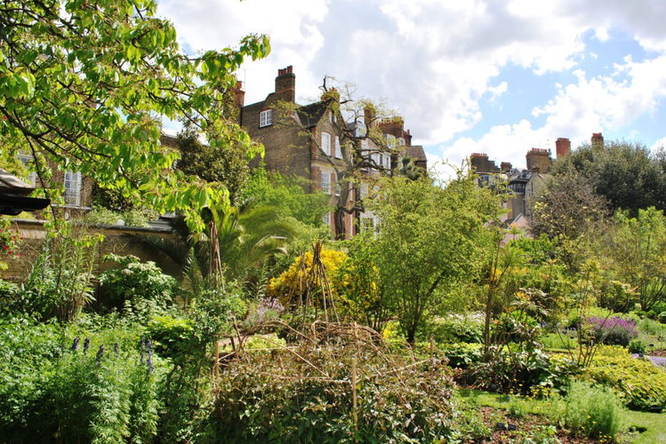Jardin botanique de Chelsea