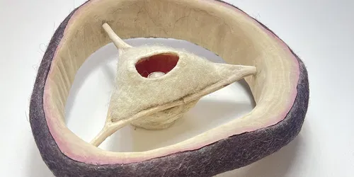 CAROLIEN BROERSEN - 25 jaar Samengestelde Beelden