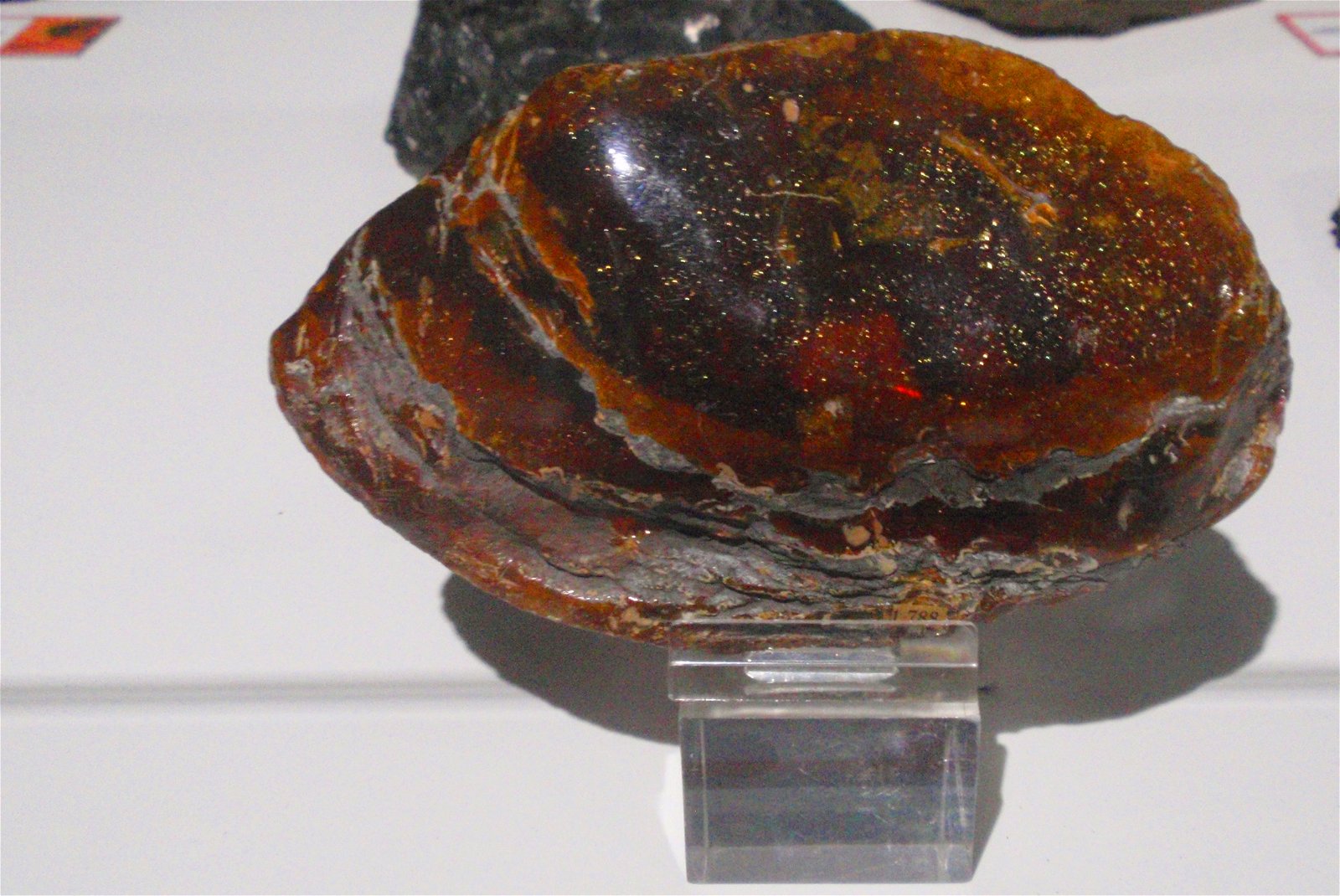 Museo Elder de la Ciencia y la Tecnología