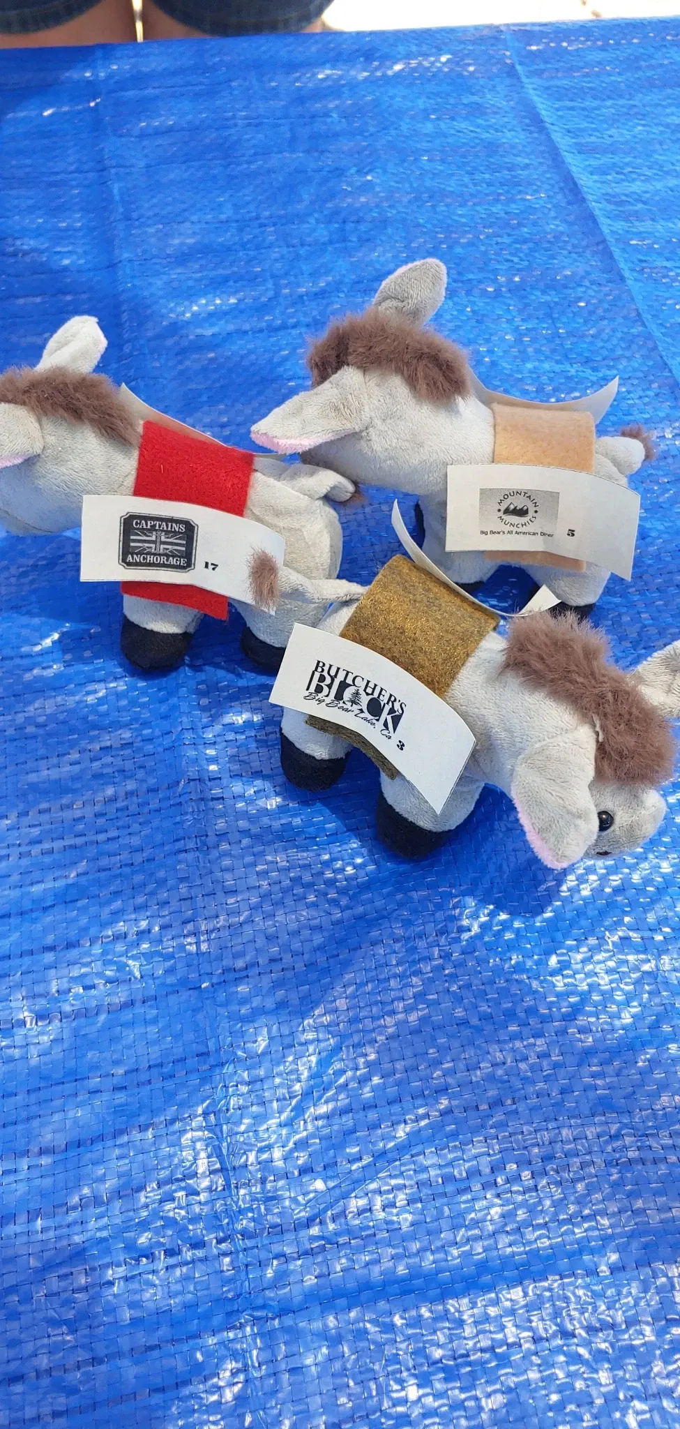 Big Bear Valley Historical Society & Museum