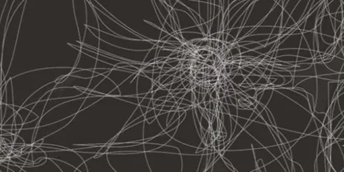 Michel Paysant: Vedi Monet