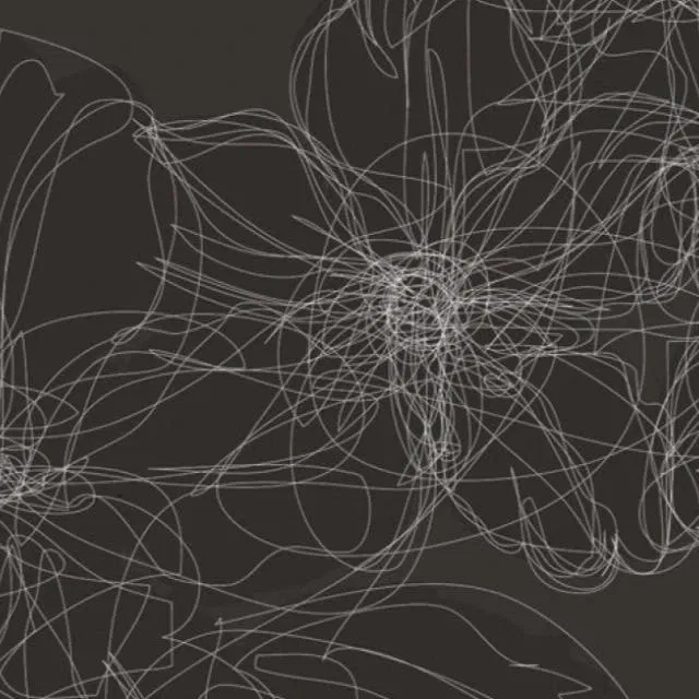 Michel Paysant: Zie Monet