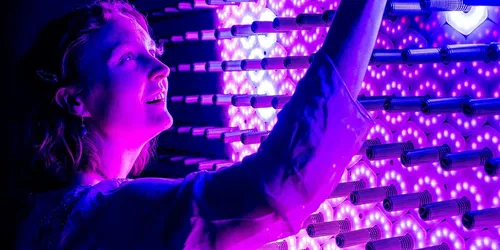 Brilla: Juega con la luz