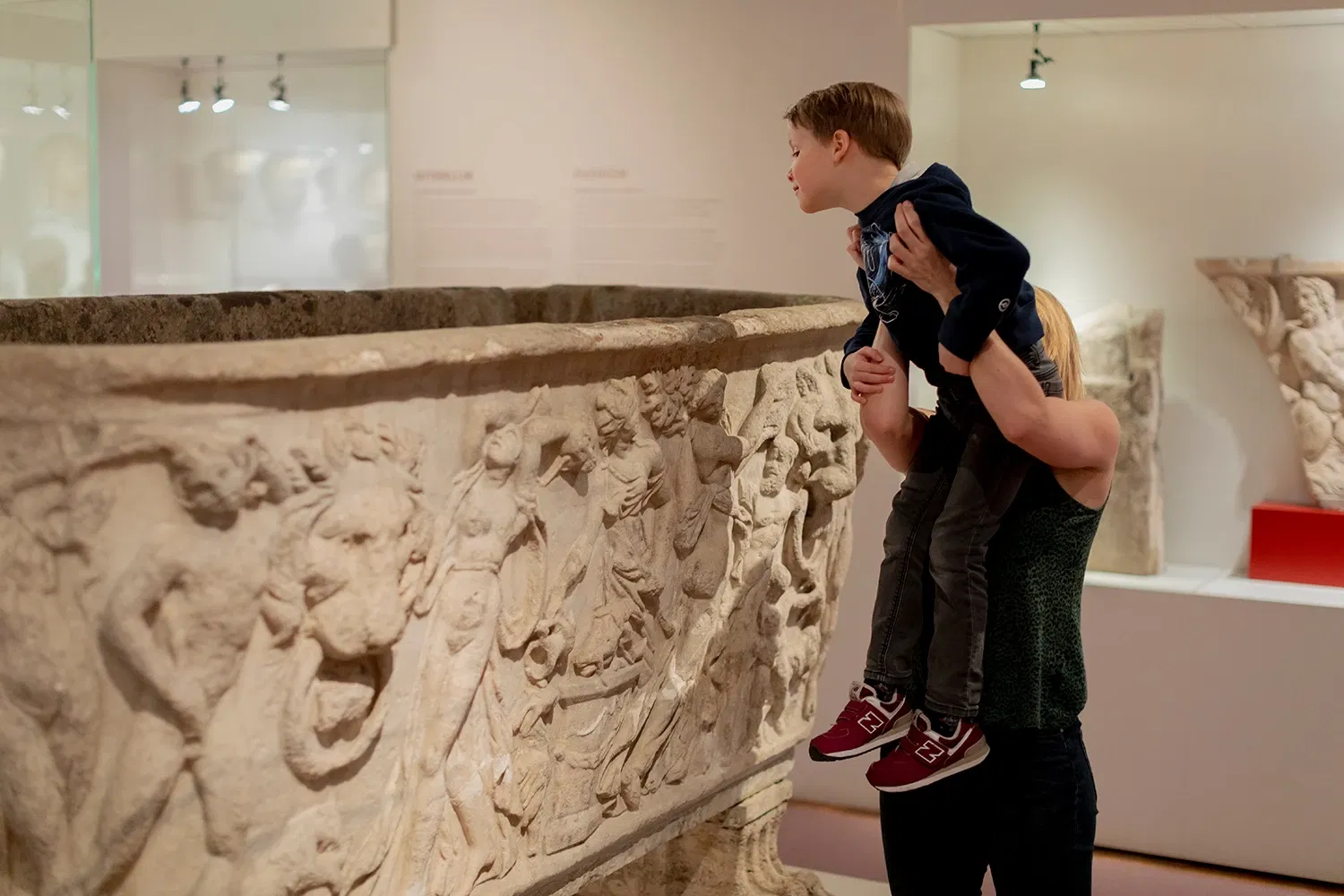 Archeology collections