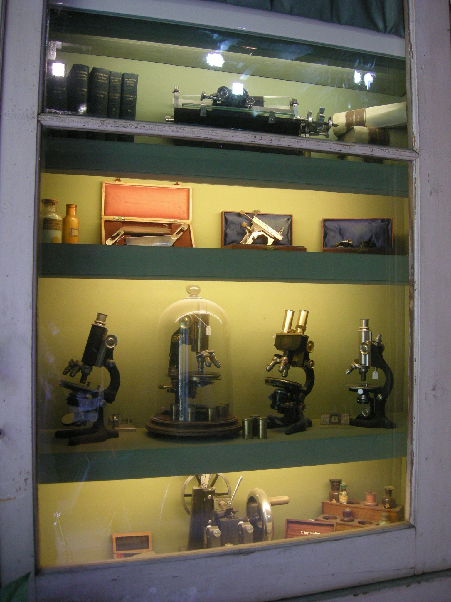 Museo Zoologico La Specola