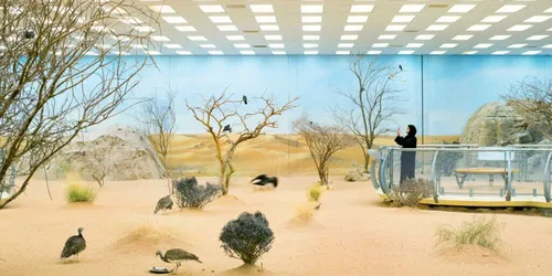 Memento. Photography, interrupted