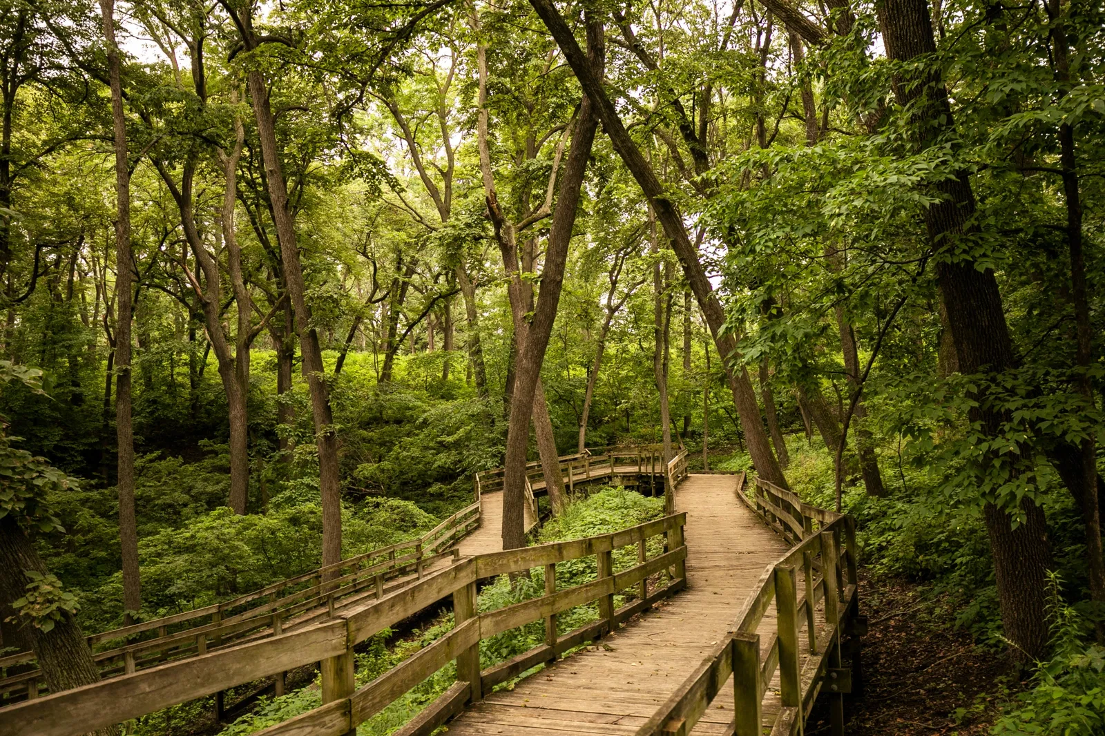 Fontenelle Forest Nature Center