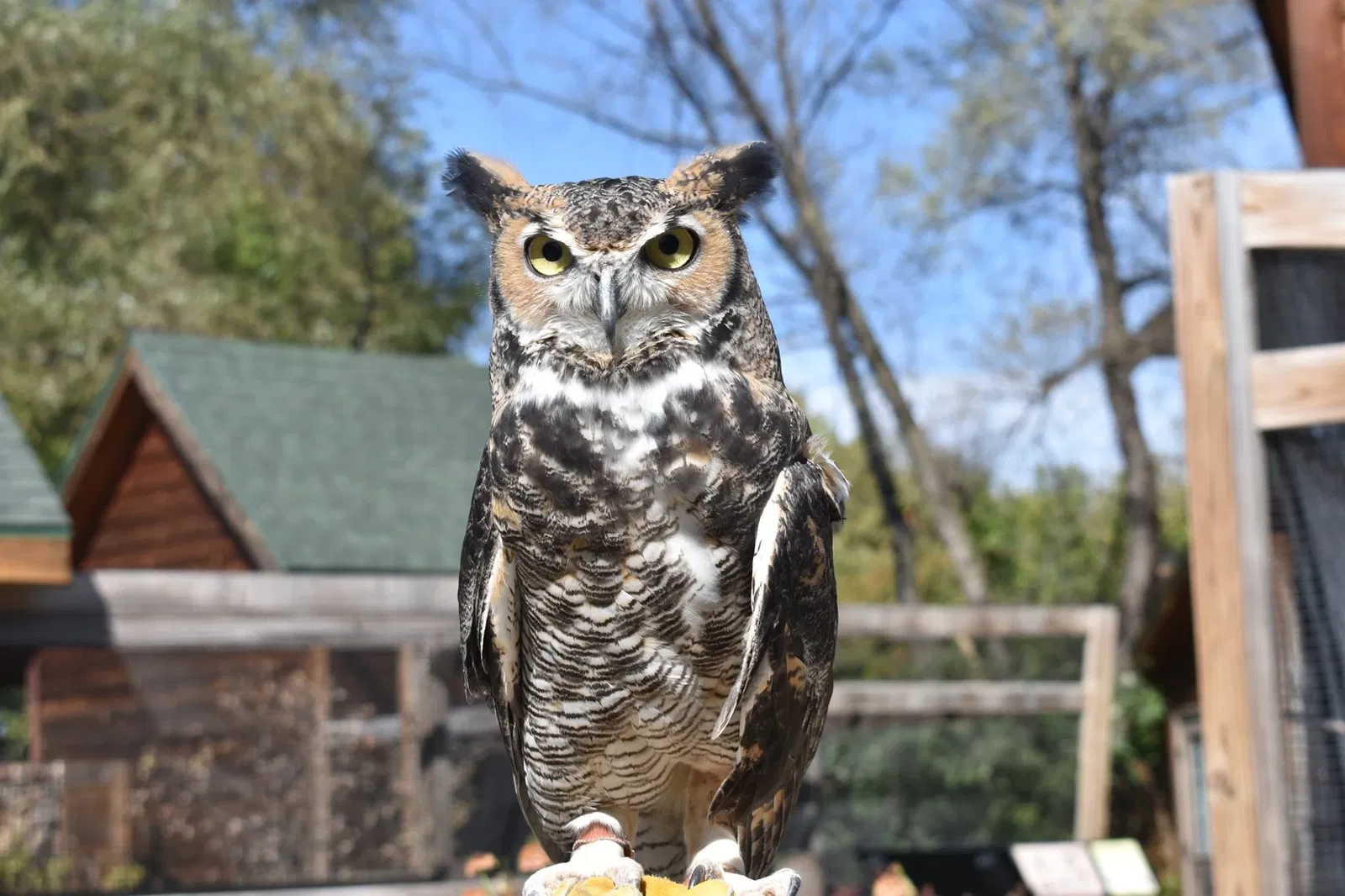 Fontenelle Forest Nature Center