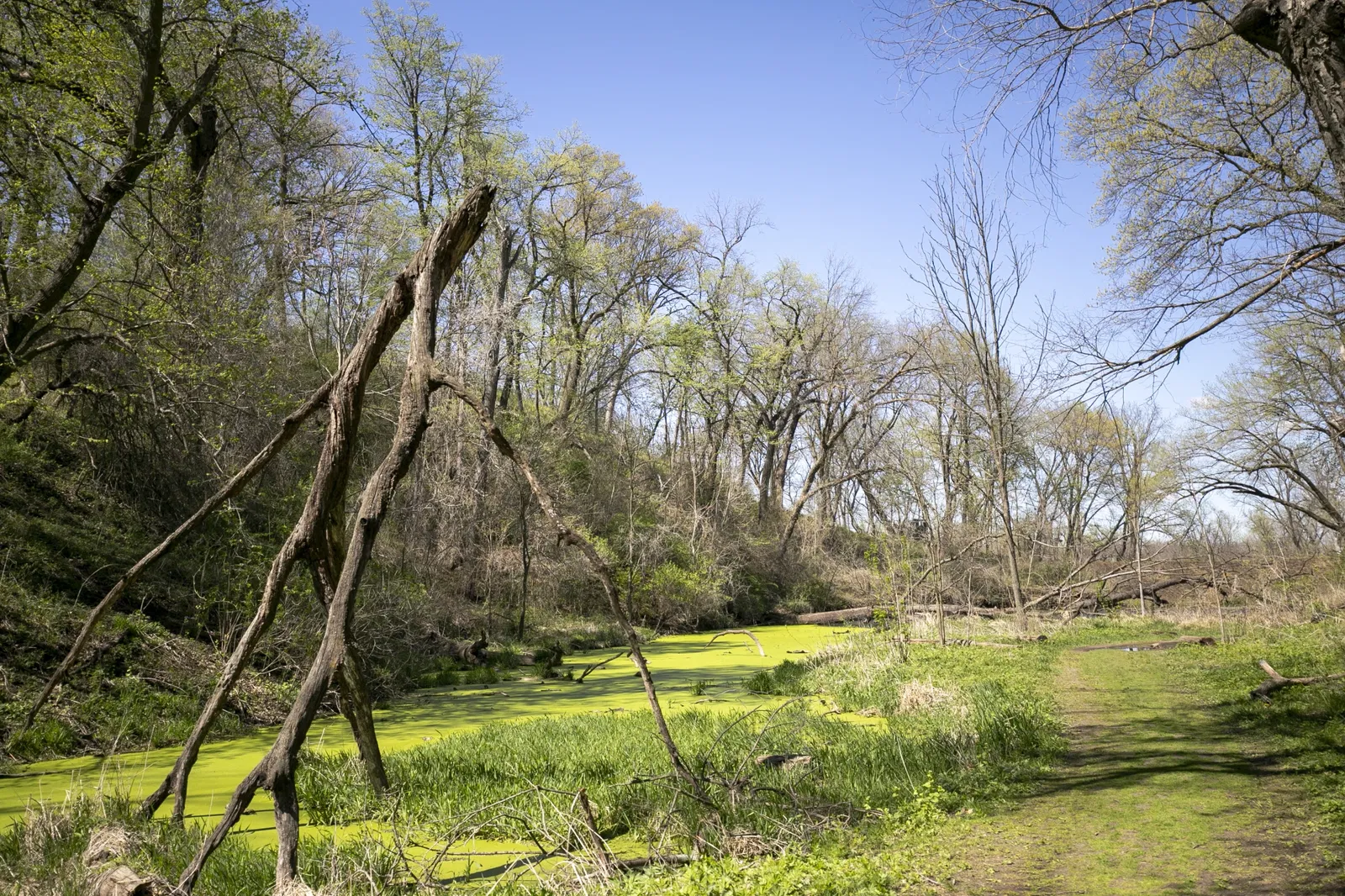Fontenelle Forest Nature Center