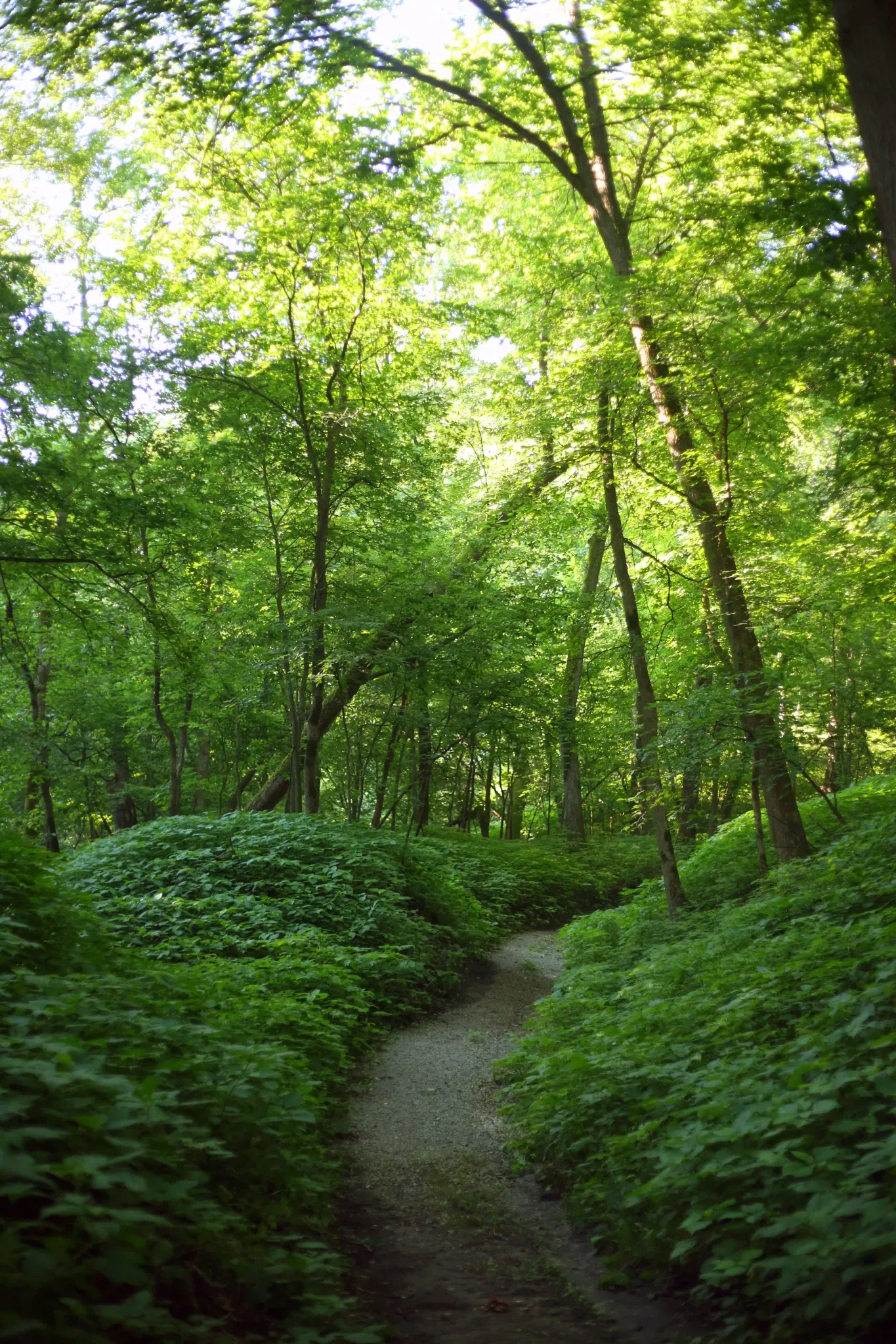 Fontenelle Forest Nature Center