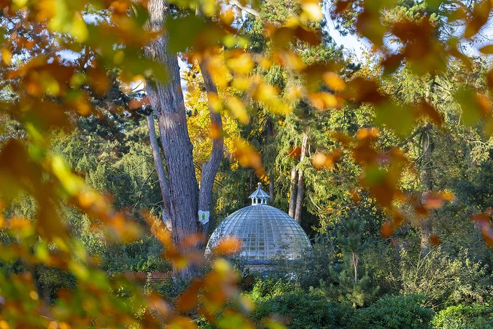 Shuttleworth Collection & Swiss Garden