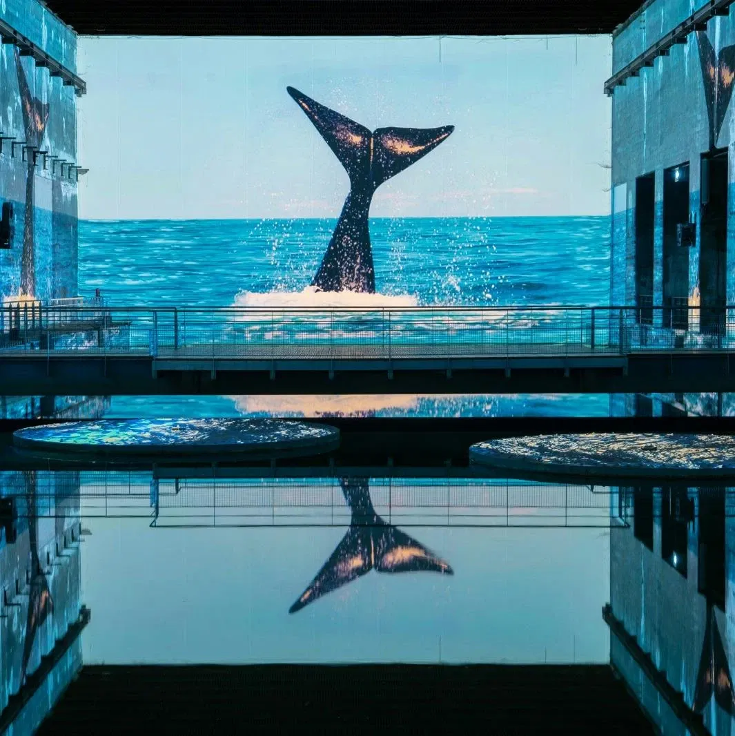 Ocean: Immersion in the Underwater World