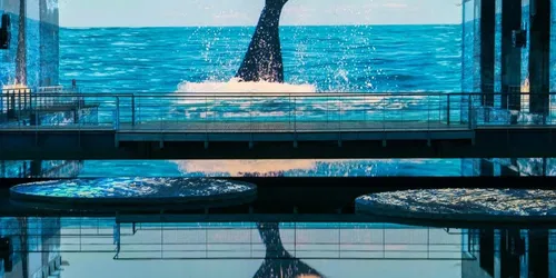 Ocean: Immersion in the Underwater World