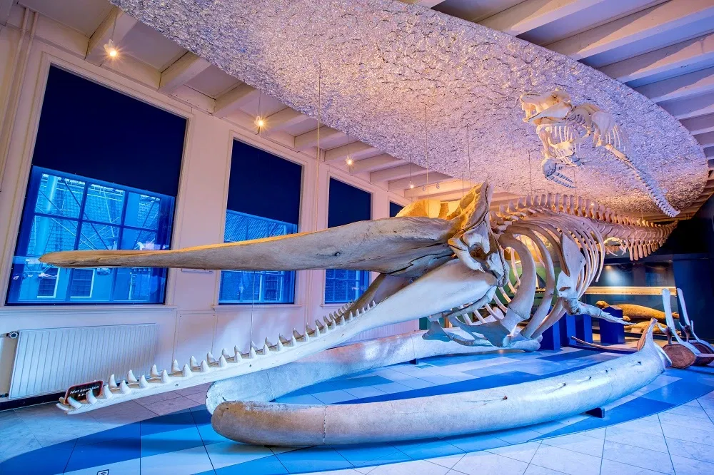 Natuurmuseum Fryslân