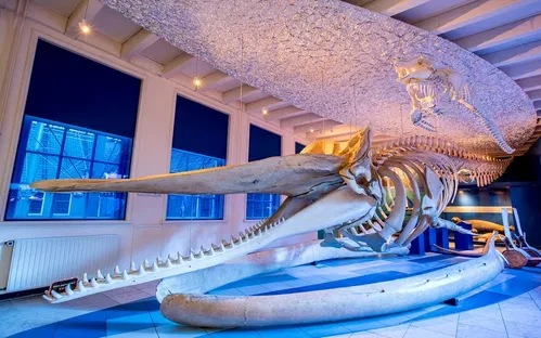 Natuurmuseum Fryslân