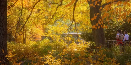 Autunno alla spina