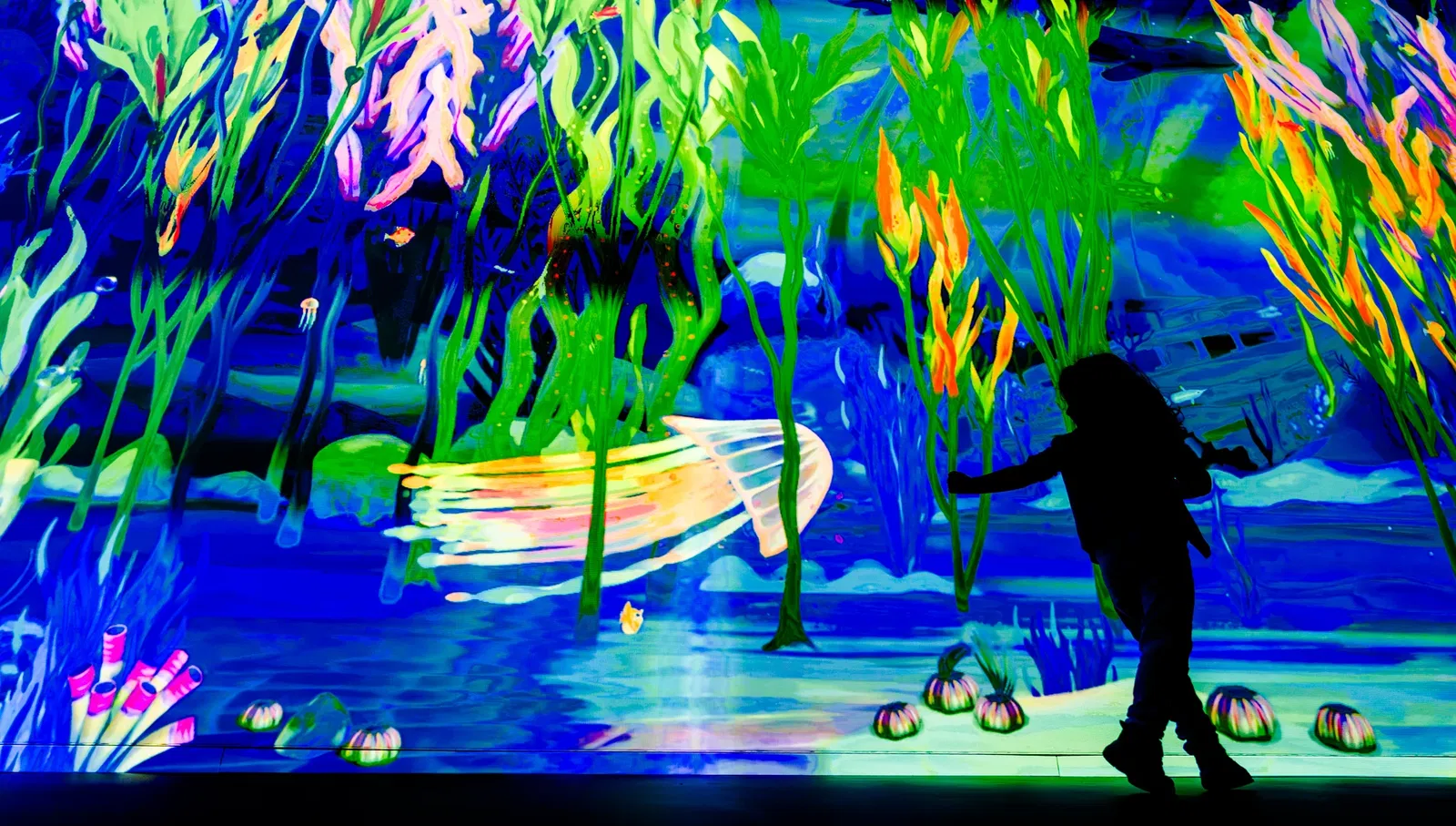 Maritime Museum Rotterdam