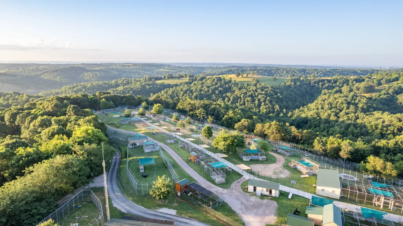 Turpentine Creek Wildlife Refuge