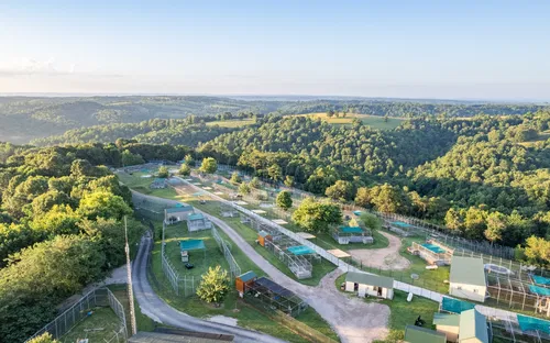 Turpentine Creek Wildlife Refuge