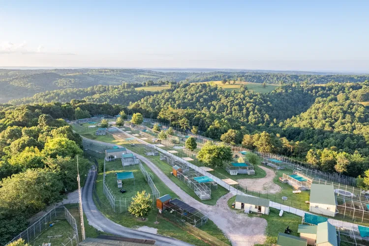 Turpentine Creek Wildlife Refuge