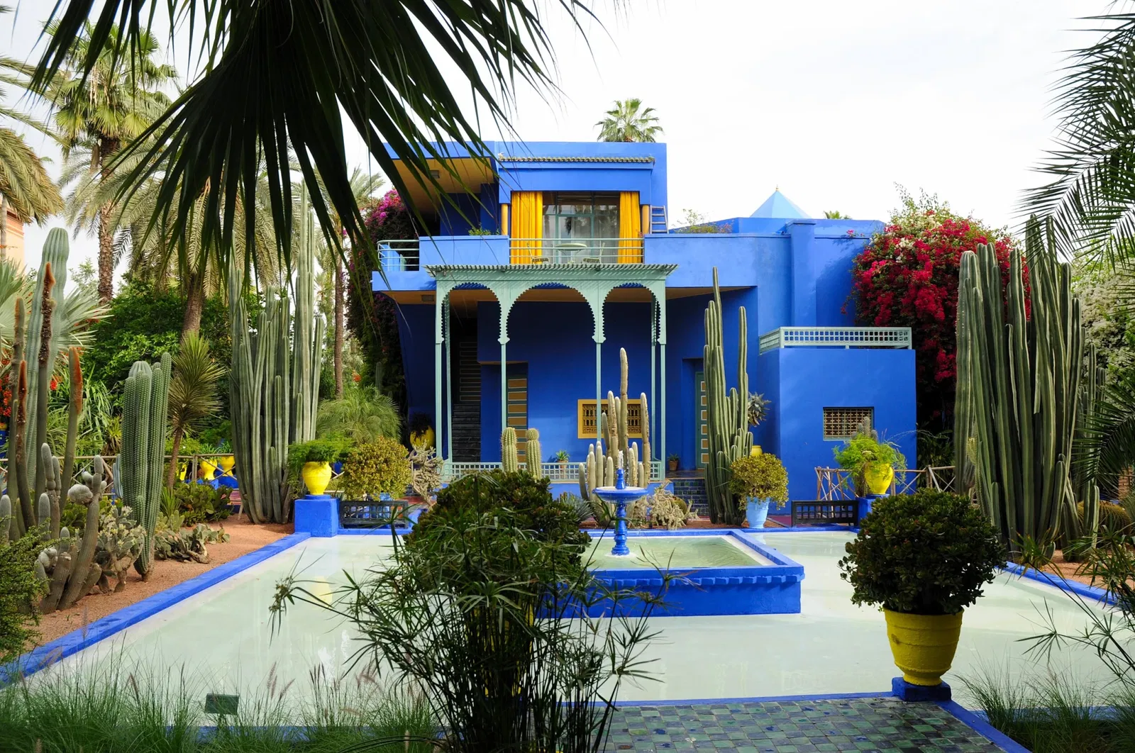Jardin Majorelle (Musée Yves Saint Laurent Marrakech)