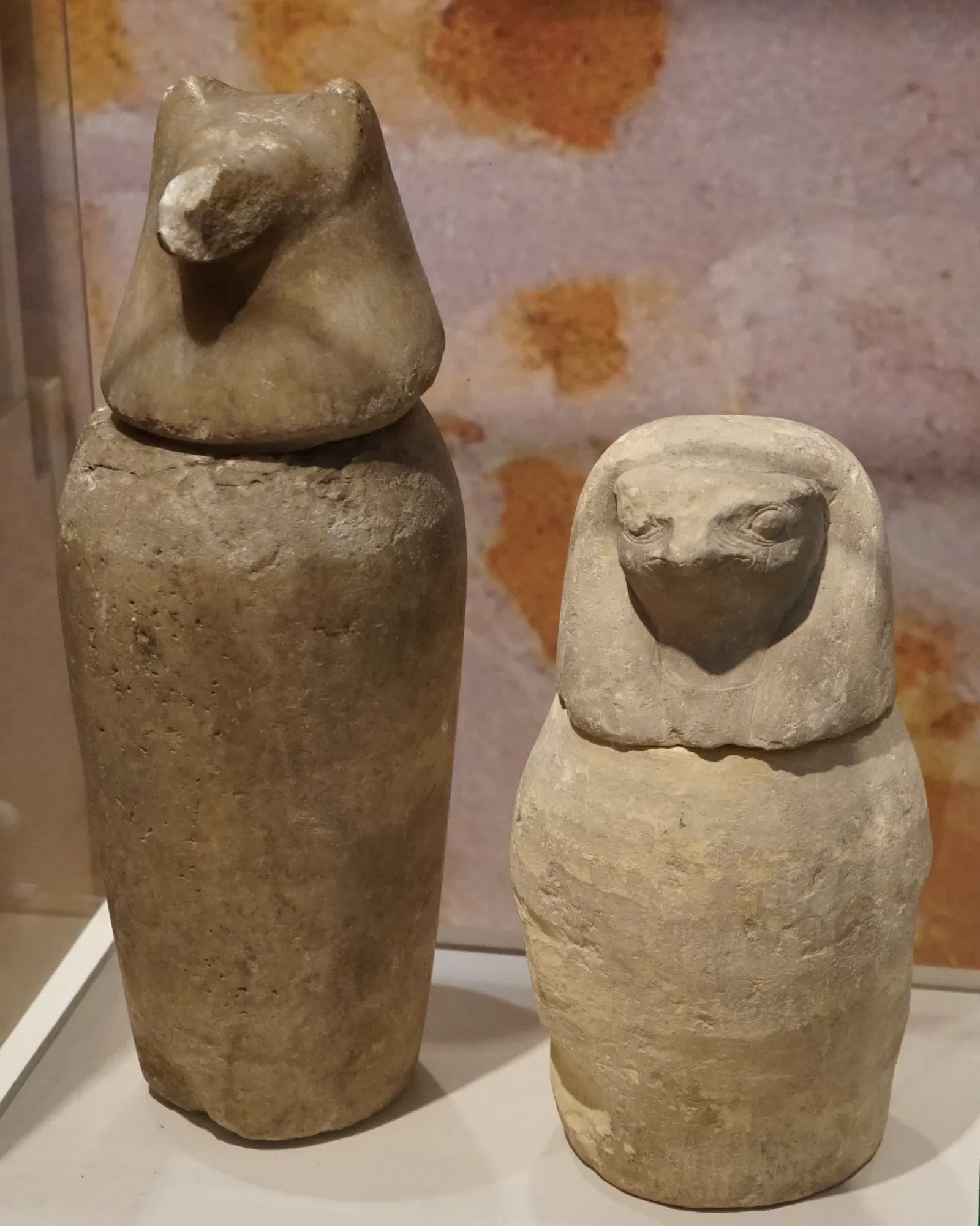 Museum of Fine Arts and Archeology