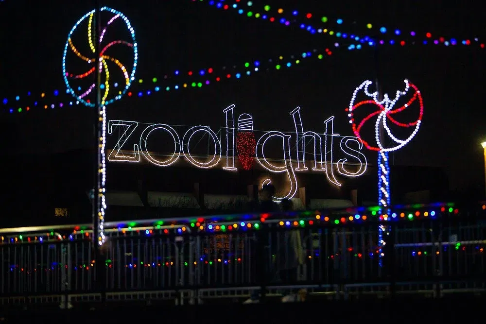 ZooLights