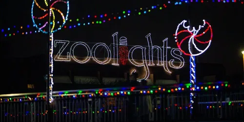 ZooLights