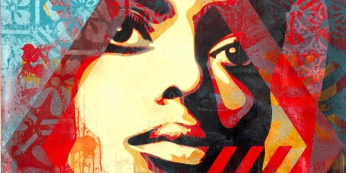 Shepard Fairey: Foto Synthese