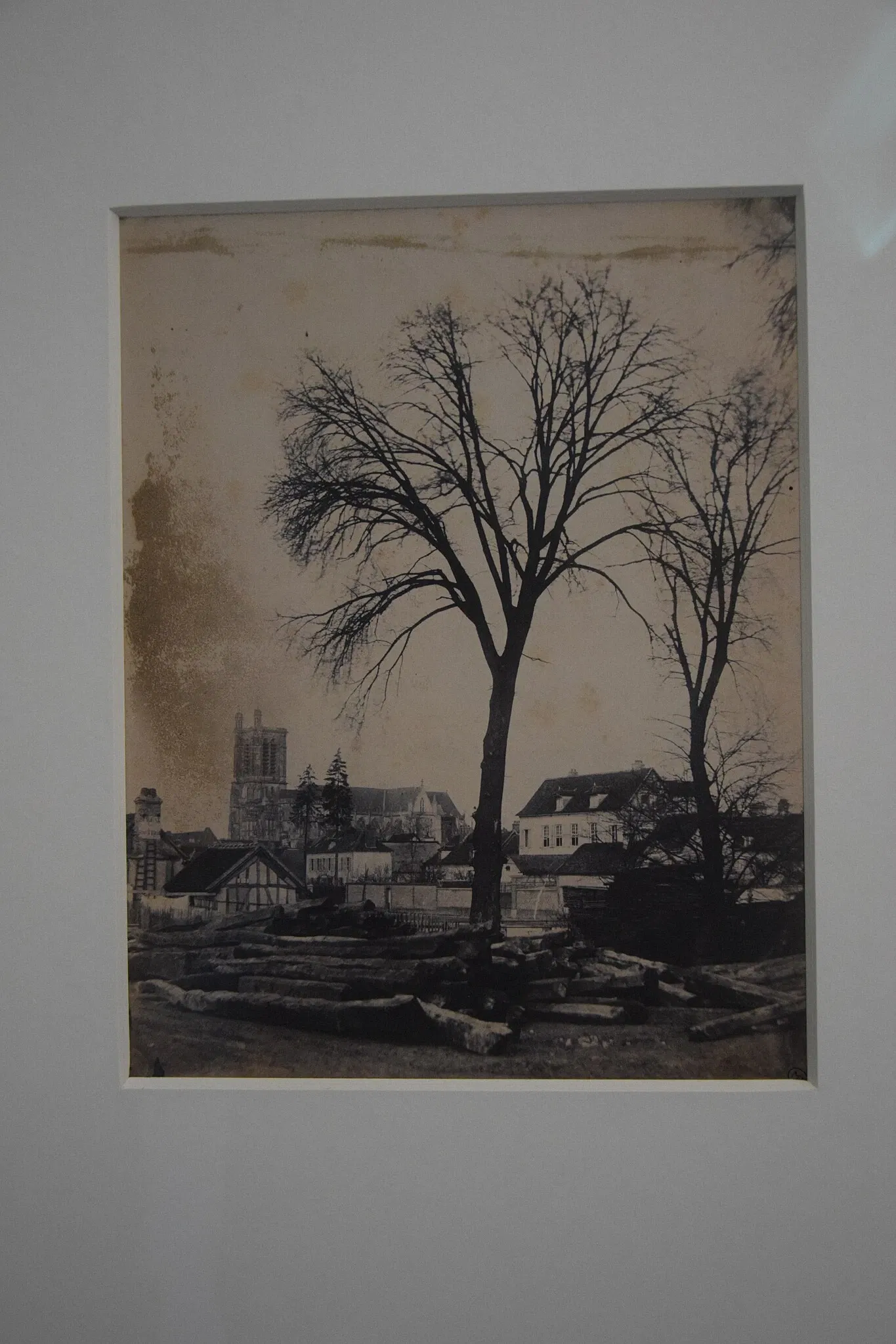 Museum of Fine Arts and Archeology