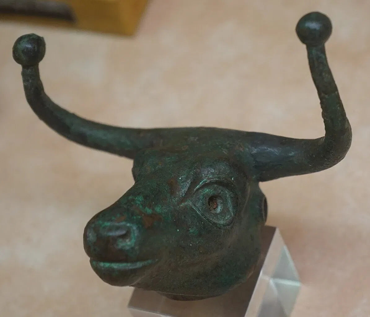 Museum of Fine Arts and Archeology