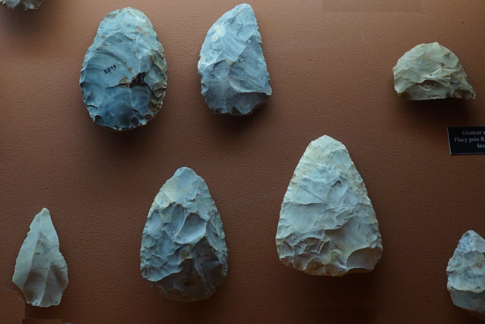 Museum of Fine Arts and Archeology