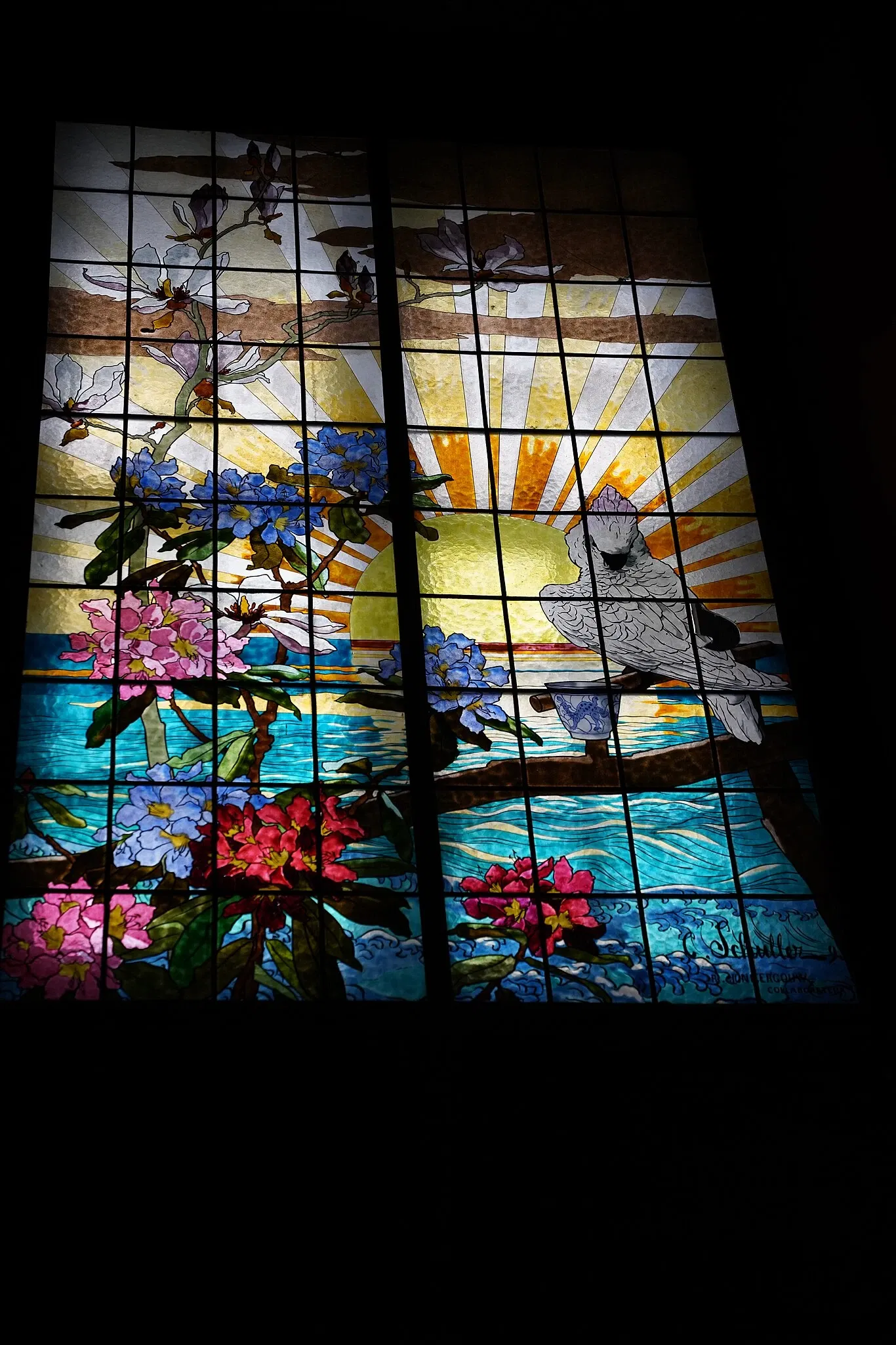 Museum of Fine Arts and Archeology