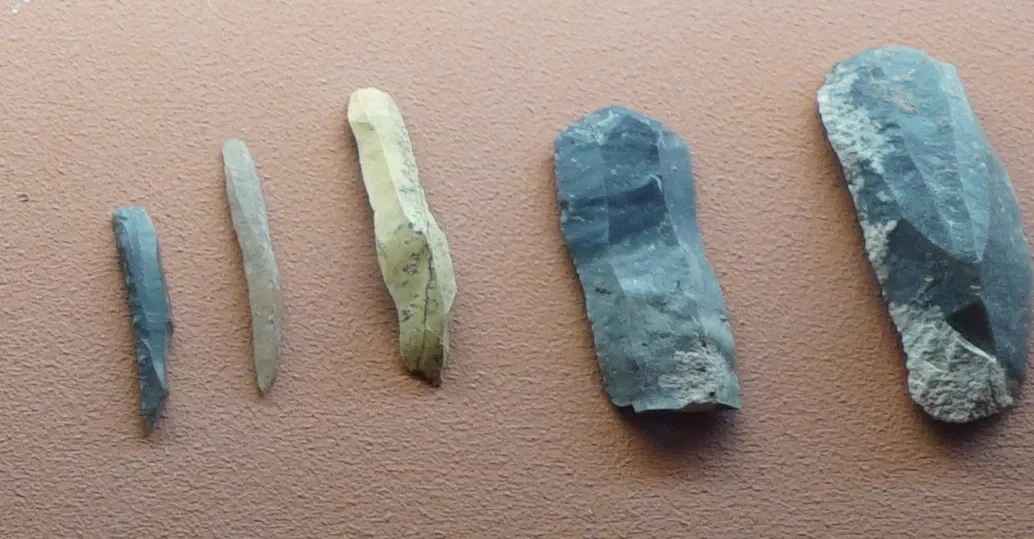 Museum of Fine Arts and Archeology