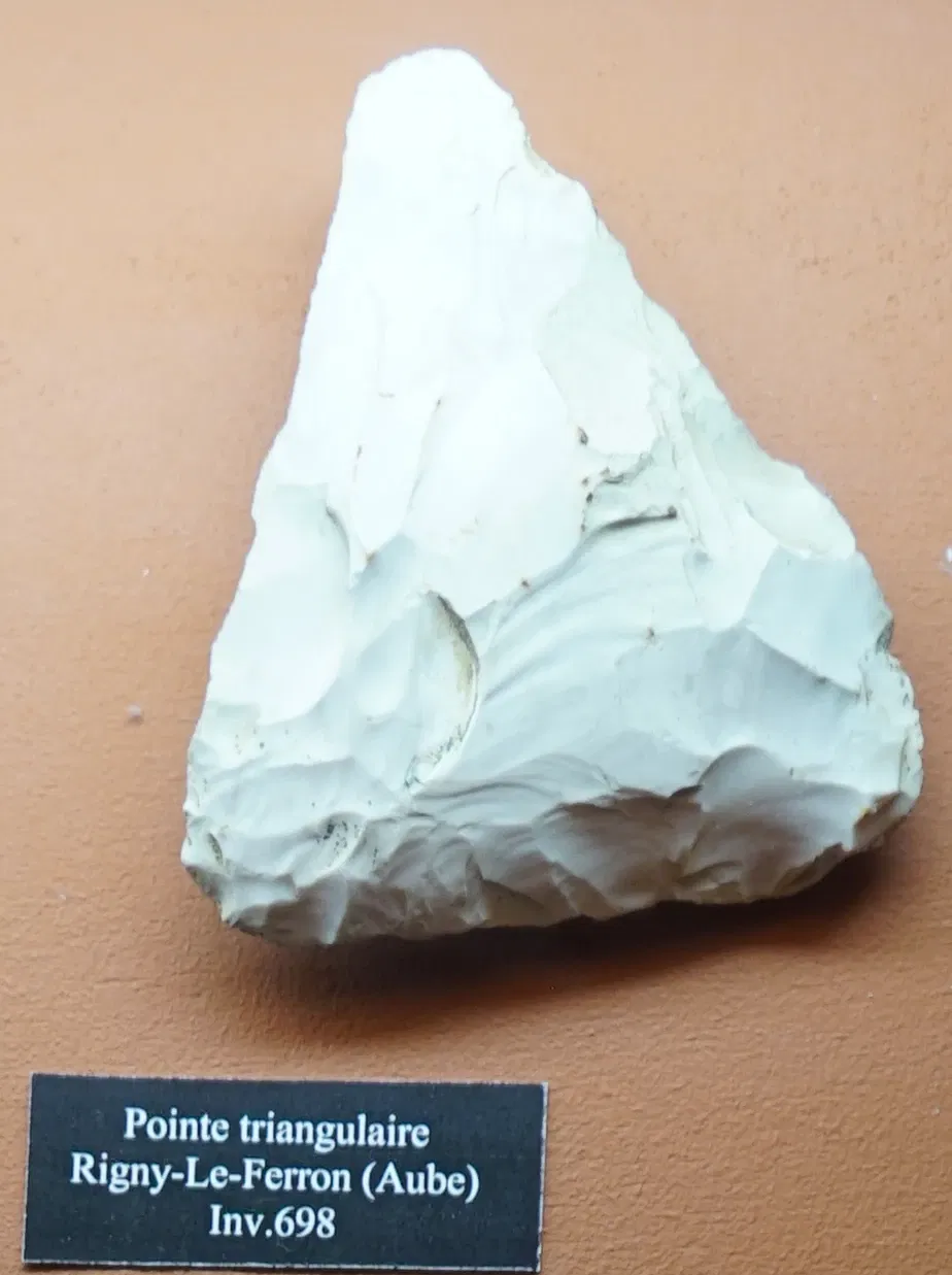 Museum of Fine Arts and Archeology