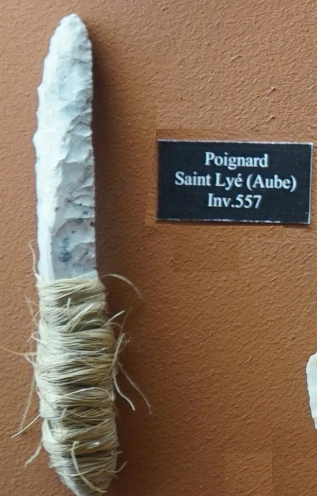 Museum of Fine Arts and Archeology